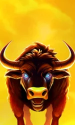 Big Wild Buffalo 2